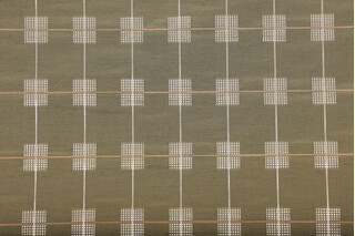 Modernism Woven Silk Decorator Fabric in Caper 