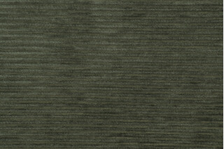 Crypton Mambo High Performance Woven Corduroy Upholstery Fabric in Forest