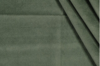 Solid Velvet Upholstery Fabric in Green