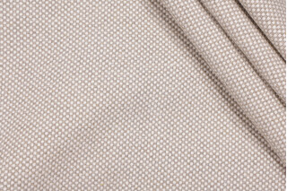 Warner Woven Upholstery Fabric in Fog