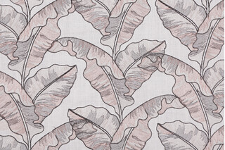 Valiant Fabrics Palm Embroidered Drapery Fabric in Blush