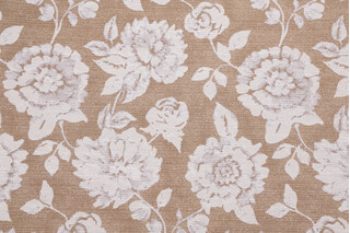 Crypton Anisa High Performance Woven Chenille Upholstery Fabric in Cafe