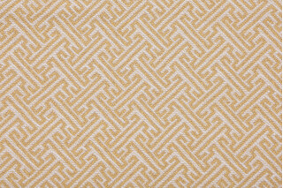 Catcher Woven Upholstery Fabric in Sundrop