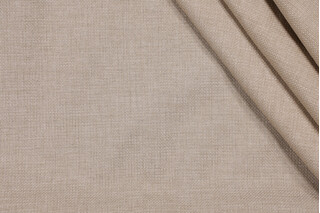 Richloom Rave Woven Polyester Outdoor Fabric in Driftwood