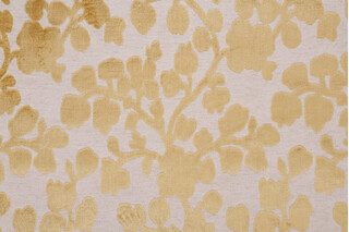 Triad Velvet Upholstery Fabric in Citrine