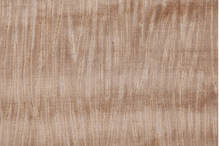 Felipe Velvet Upholstery Fabric in Cashew