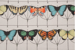 Hamilton Papillon Printed Cotton Drapery Fabric in Carnival 