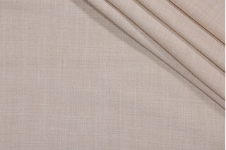 Barrier Woven Drapery Fabric in Taupe