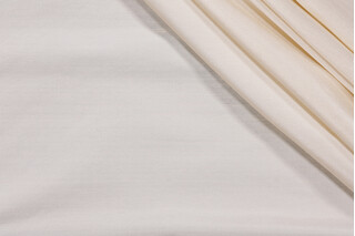 Titan Silk Decorator Fabric in Dehli Ivory