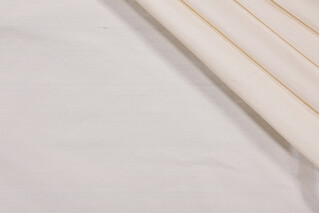 Titan Silk Decorator Fabric in Dehli Ivory