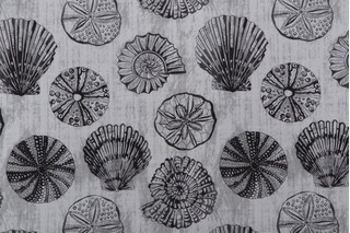 Terrasol - Seashell Printed Polyester Outdoor Fabric in Stone