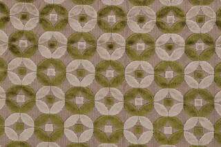 Hackman Velvet Upholstery Fabric in Green