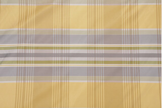 Tarrytown Woven Decorator Fabric in Spring
