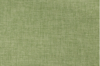 Richloom Rave Woven Polyester Outdoor Fabric in Palm