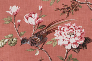 Covington Joybird Printed Cotton Drapery Fabric in 376-Clay