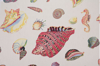 Seashells Printed Cotton Drapery Fabric in Multi
