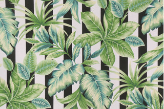 Richloom Freemont Printed Polyester Outdoor Fabric in Palmetto