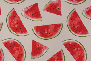 Richloom Melon Printed Polyester Outdoor Fabric in Ivory