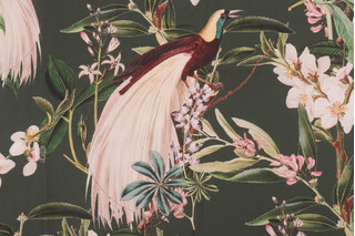 Stof France Paradisier Printed Cotton Drapery Fabric in Kaki