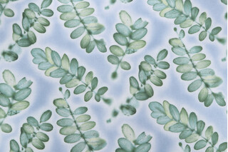 Waverly Dreamlike Printed Cotton Twill Drapery Fabric in Cloverleaf