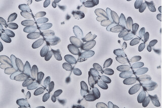 Waverly Dreamlike Printed Cotton Twill Drapery Fabric in Stone