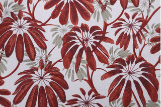 Stof France Galapagos Printed Drapery Fabric in Terracotta