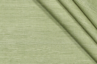 P Kaufmann Fraiser Printed Cotton Drapery Fabric in Leaf