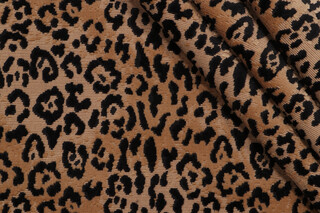 AbbeyShea Leopard Grospoint Velvet Upholstery Fabric in 54-Coin