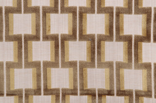 AbbeyShea Amalia Velvet Upholstery Fabric in 205-Lichen