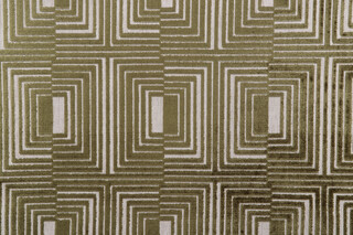 AbbeyShea Leo Velvet Upholstery Fabric in 25-Olive