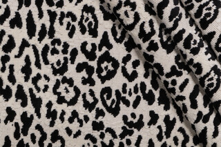 AbbeyShea Lipped Grospoint Velvet Upholstery Fabric in 908-Domino