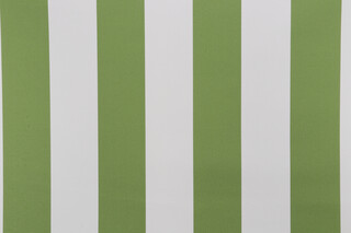 AbbeyShea Lanai Woven Polyester Outdoor Fabric in 21-Fern