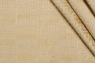 AbbeyShea Roberts Velvet Upholstery Fabric in 25-Citrine