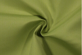 Sunbrella 54011-0000 Canvas Woven Yarn Dyed Acrylic Outdoor Fabric in Ginkgo