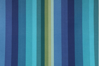 Richloom Islip Printed Polyester Outdoor Fabric in Teal