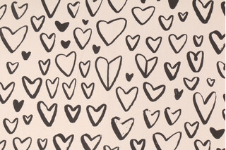 Premier Prints Lovely - Macon Printed Cotton Drapery Fabric in Black