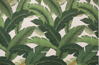 Tommy Bahama Swaying Palms Printed Polyester Outdoor Fabric in Aloe