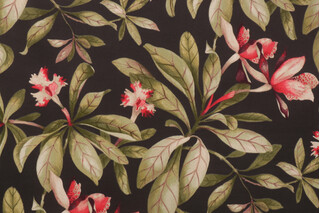 PK Lifestyles Orchid Valley Printed Polyester Outdoor Fabric in Ebony