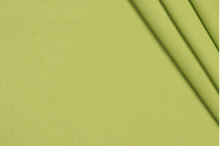 Richloom Veranda Woven Polyester Outdoor Fabric in Apple Green