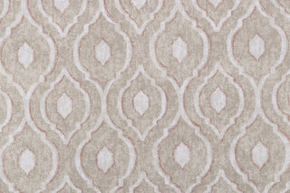 Magnolia Home Pisa Printed Cotton Drapery Fabric in Blush