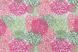 Premier Prints Blooms Printed Polyester Outdoor Fabric in Jazz Pink