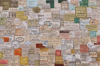 Tim Holtz Laboratory - Curator Printed Cotton Craft Fabric in Multi for Free Spirit