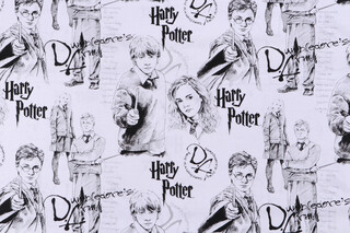 Harry Potter Licensed Mystery Of Magic Printed Cotton Craft Fabric