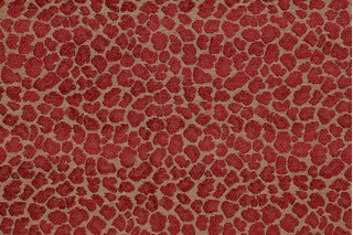 Golding Spots Woven Chenille Upholstery Fabric in Ruby