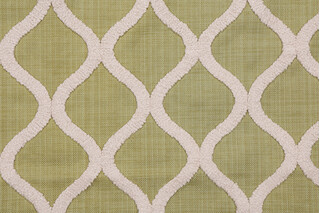 Mill Creek DNA Embroidered Drapery Fabric in Grass