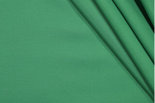 Richloom Veranda Woven Polyester Outdoor Fabric in Grass 