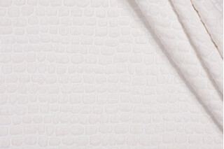 P Kaufmann Perf Europa High Performance Woven Chenille Upholstery Fabric in Cloud 