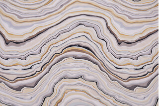 Covington Forsyth Printed Cotton Twill Drapery Fabric in 86-Dijon 