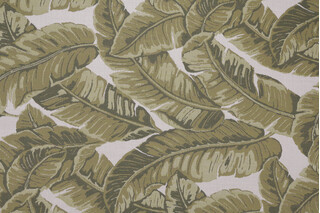 Sunbrella Tropics Woven Solution Dyed Acrylic Outdoor Fabric in Tropics 