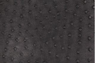 Ostrich Embossed Vinyl Upholstery Fabric in Black 